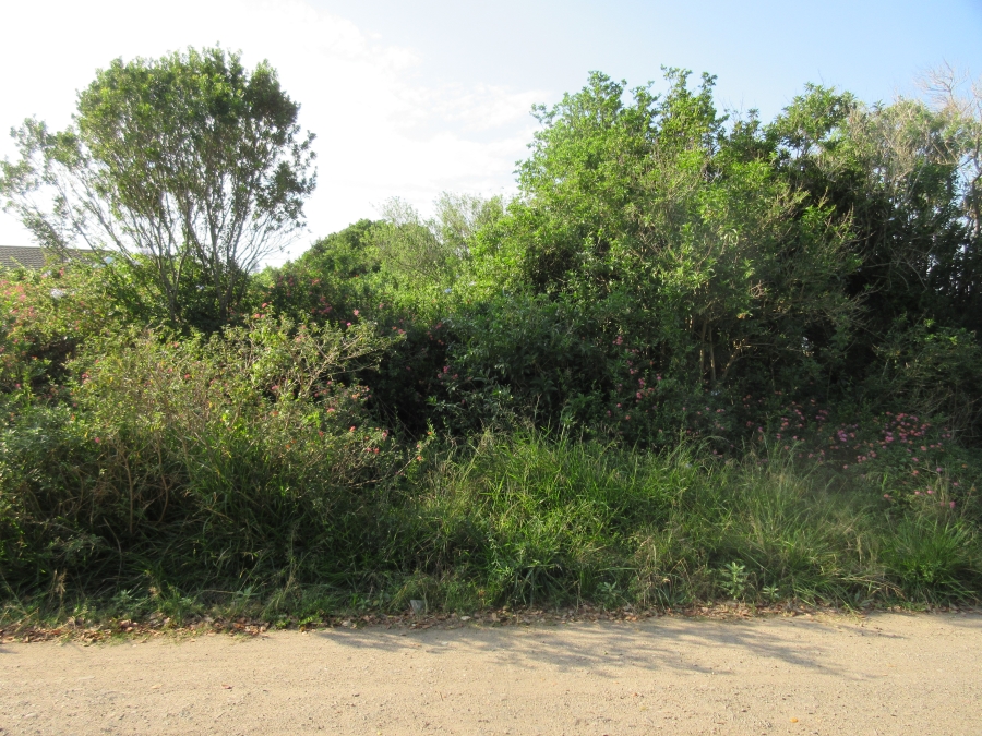 0 Bedroom Property for Sale in West Bank Eastern Cape